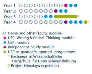 experience-andrew-wang