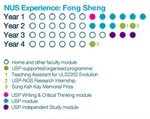 experience-fongsheng