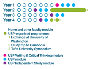 experience-rachel-ng