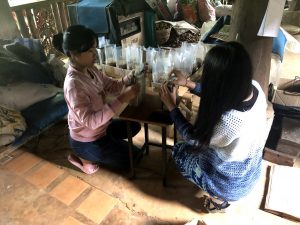 Packing of the Organic Rice in a Farm before their are vacuum sealed and ready to be sold.