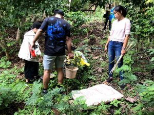 Planting of local vegetables together with the Homestay Host who owns an Organic Farm.